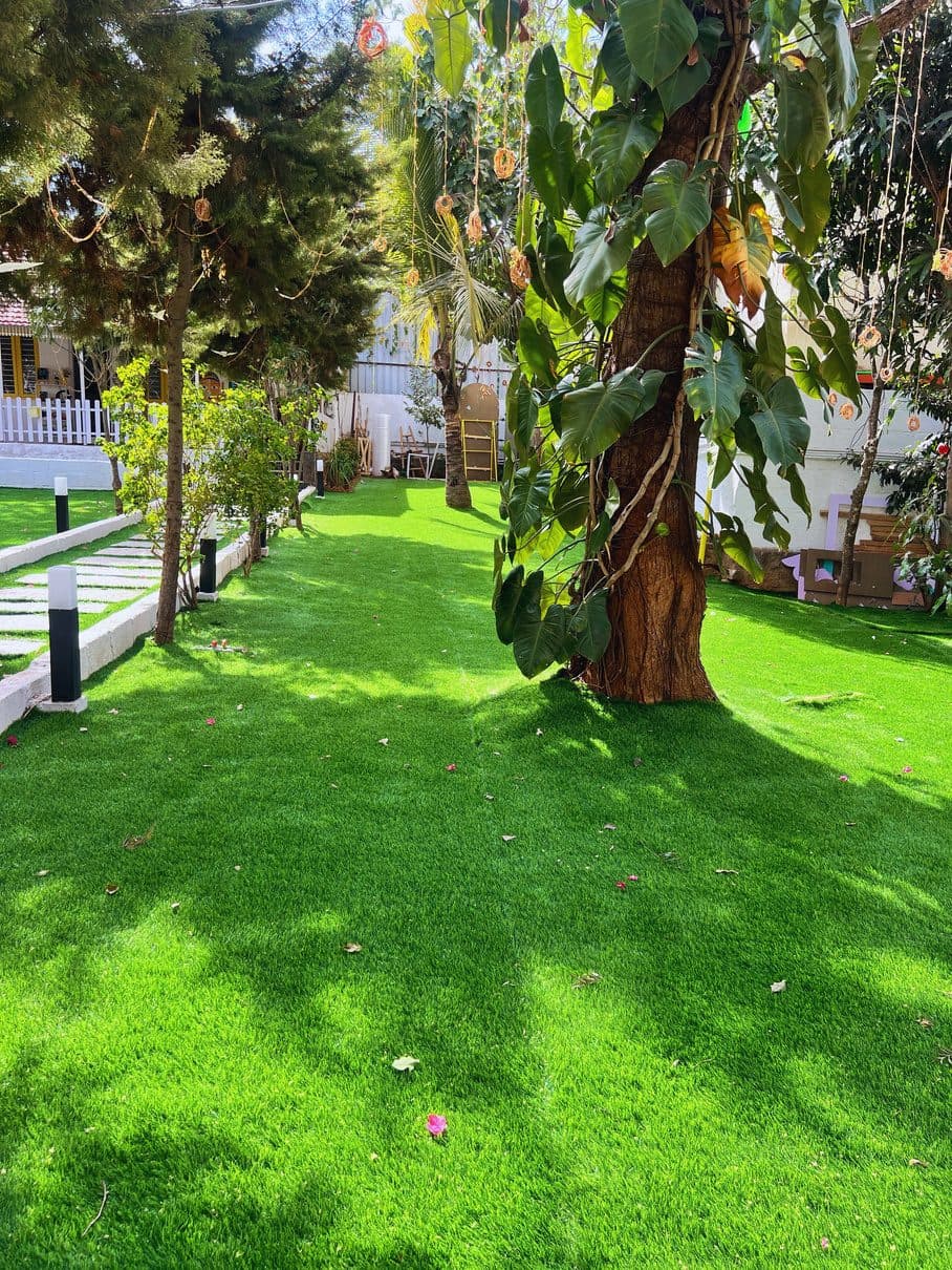 Wide view of the tree-lined lawn