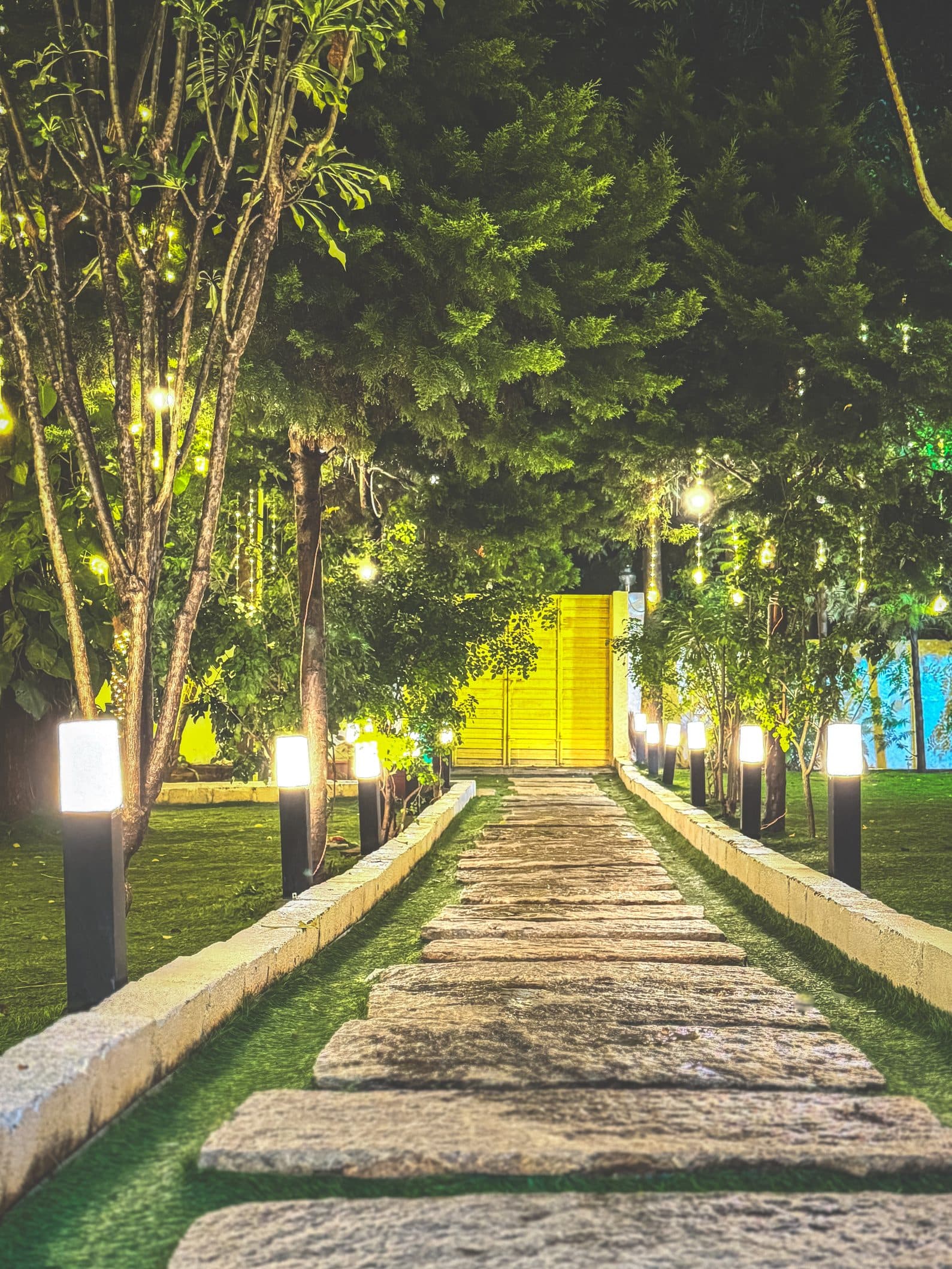 Lit pathway across the lawn at dusk